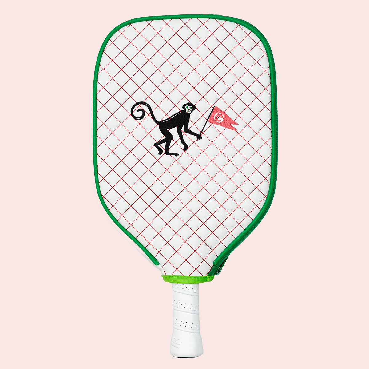 JB Pickle Ball Paddle & Cover