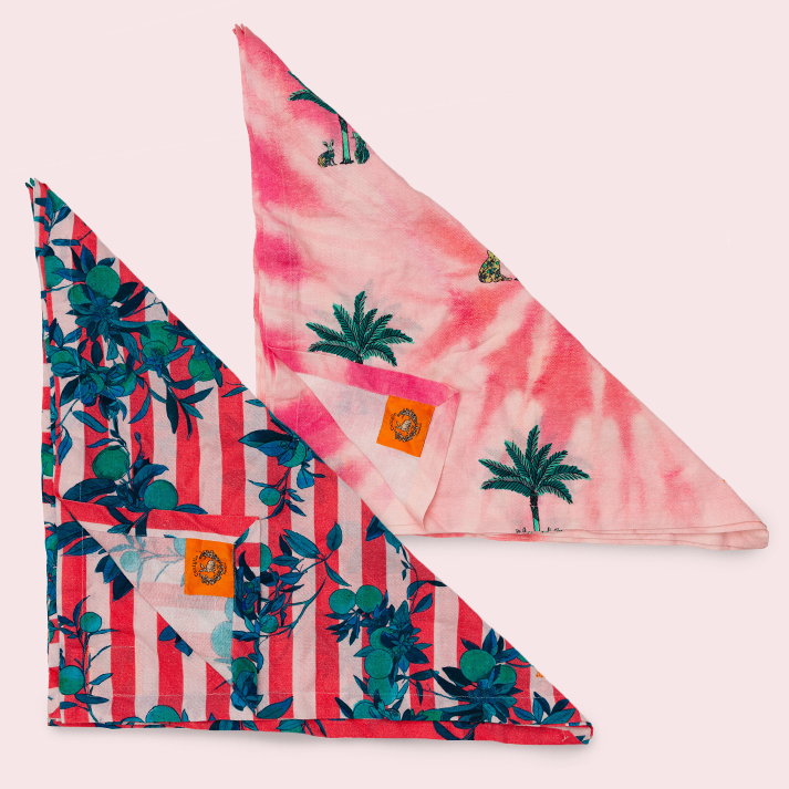 Colony X Coniglio Palm Beach Dinner Napkins Set of 4