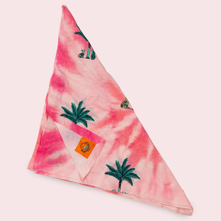 Colony X Coniglio Palm Beach Dinner Napkins Set of 4