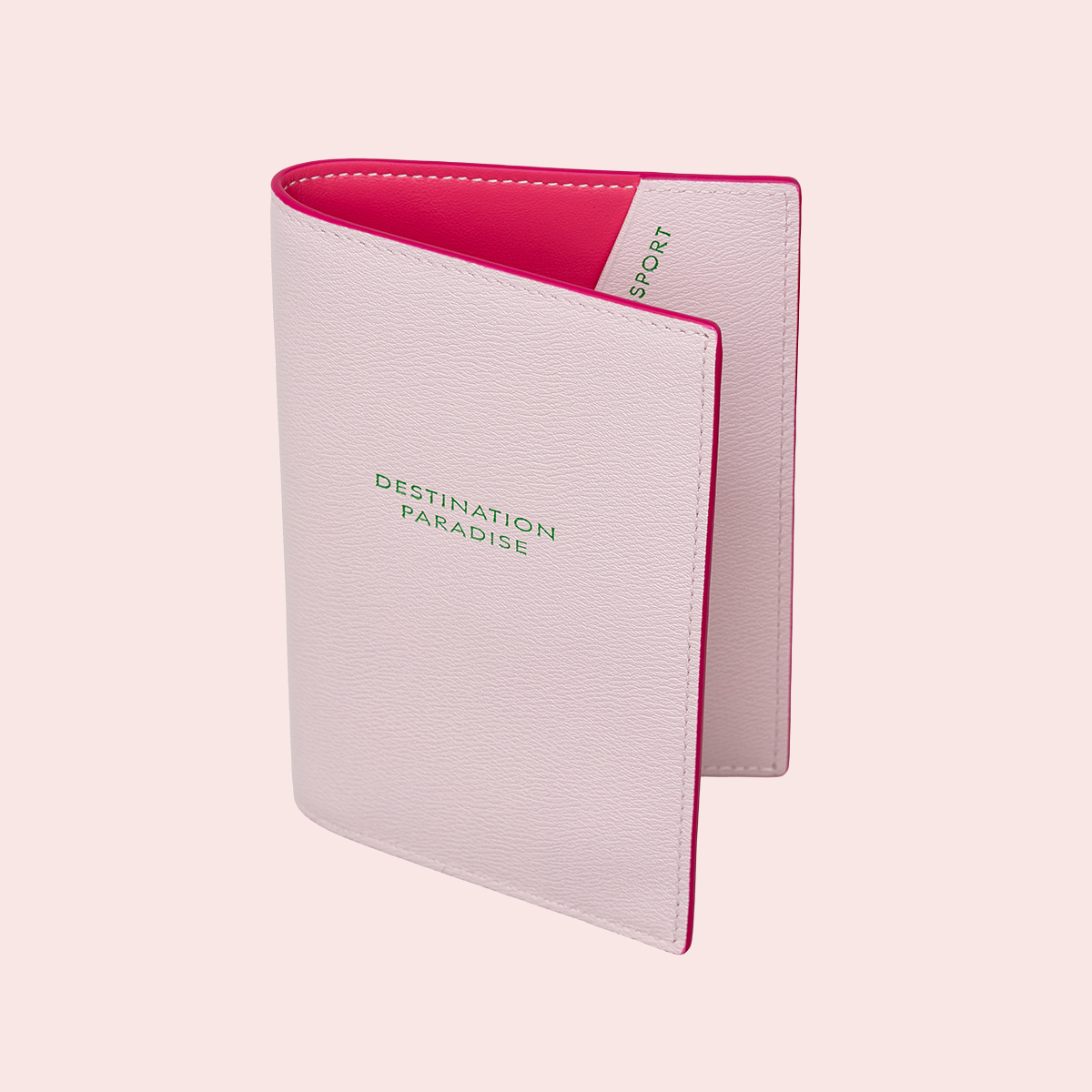 Colony x Smythson Passport Cover