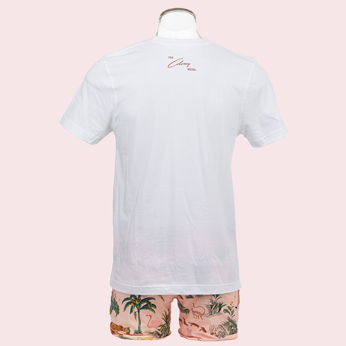 Colony Adult Crew Tee: Johnnie Brown Surf