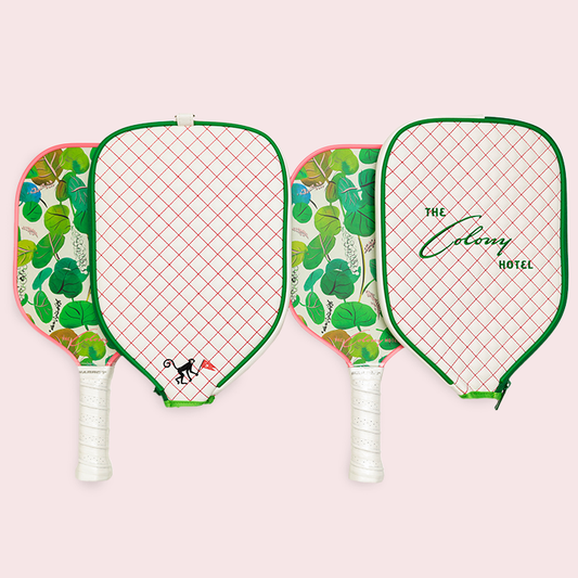 Colony Pickle Ball Paddle & Cover