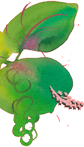 green leaves in the bottom left corner