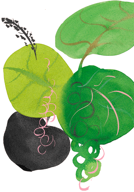 green leaves in the bottom right corner